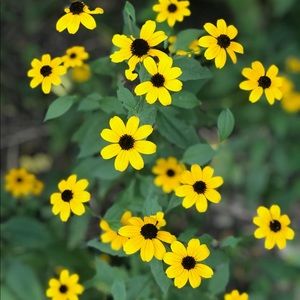 Meet your Posher, Hayden